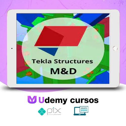 Curso Tekla Structures M&D - Fernando de Cesaro