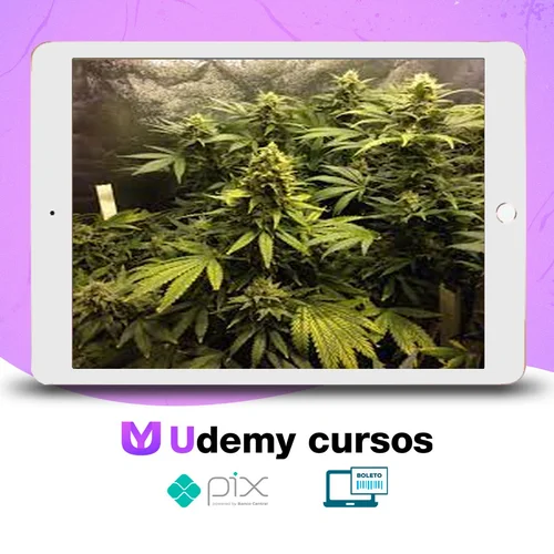 Cultivo Indoor de Plantas Medicinais - Jean Silva